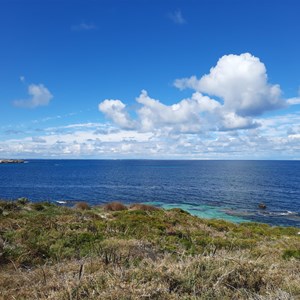 Spot the shipwreck at Henrietta Rocks