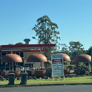 Macadamia house