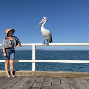 Urangan Pier