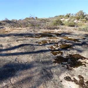 Mount Cuthbert - Bibbulmun Track