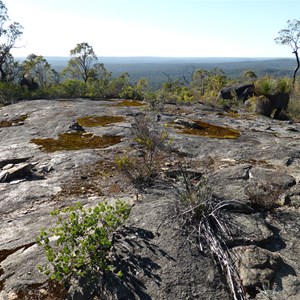 Mount Cuthbert - Bibbulmun Track