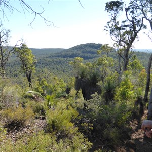 Mount Cuthbert from Mount Vincent - Bibbulmun Track