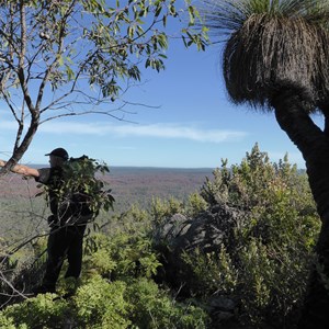 Mount Vincent - Bibbulmun Track