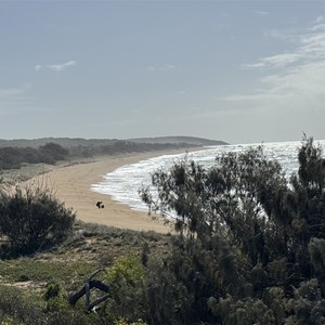 Beach Access Walk