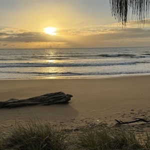 Beach Access Walking Track