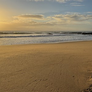 Beach Access Walking Track