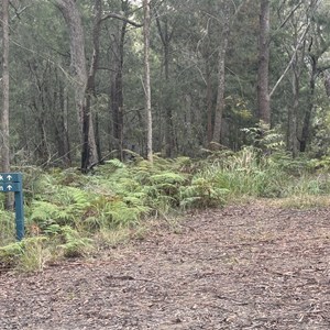 Escarpment Track