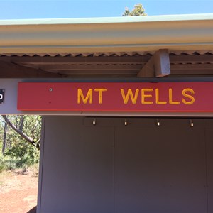 Mount Wells