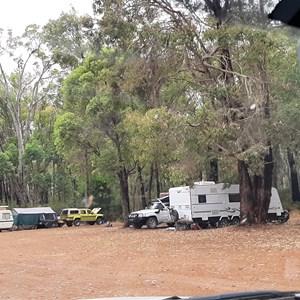 Caravans hugging the edge where the trees are