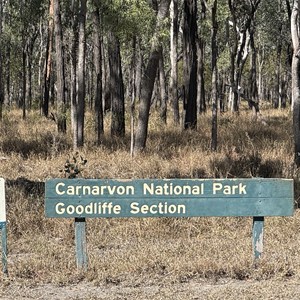 Goodliffe Section - Carnarvon National Park
