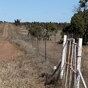 Dingo Barrier Fence