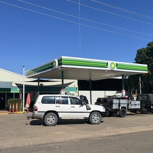 BP Servo