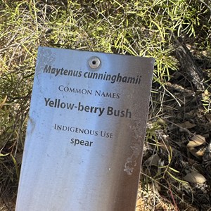 Botanical Walk