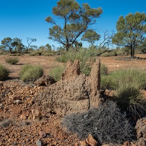Opalton fossicking field