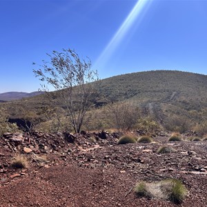 Burra Bush Camp road extension