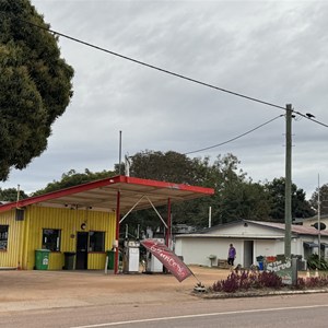 The Servo