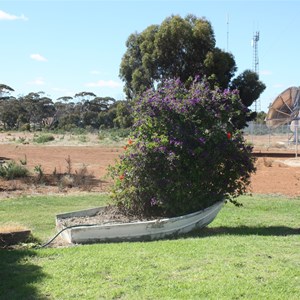 Lake Grace caravan park grassed area