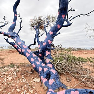 Blue tree