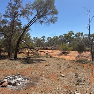 Mangaroon Creek