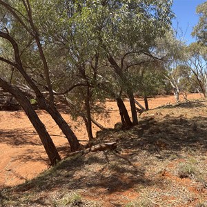 Mangaroon Creek