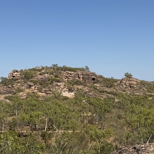 Bush Camp