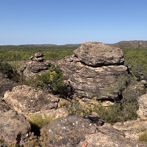 Bush Camp