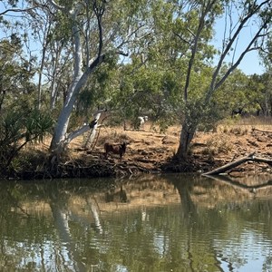 Access to Branch Creek Waterhole