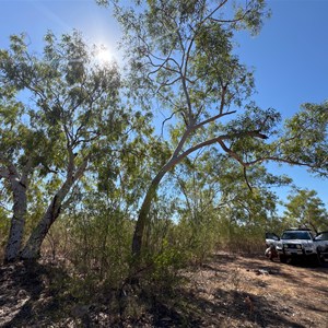 Bush Clearing