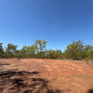 Bush Clearing