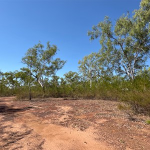 Bush Clearing