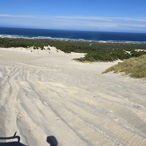 Yeagarup Dunes