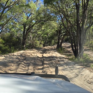 Yeagarup Dunes