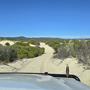 Yeagarup Dunes