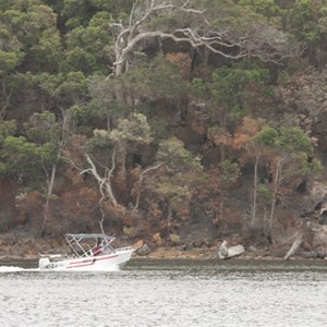 Near Rest Point, Walpole Inlet