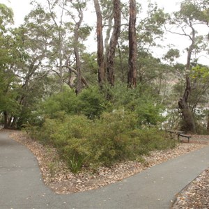 Walk trail at Walpole Inlet