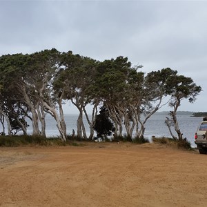 Picnic area & shallow canoe launch spot on Irwin Inlet