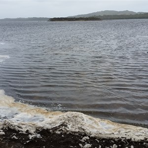 Water's edge at Irwin Inlet Picnic Site