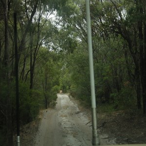 Track through to the beach