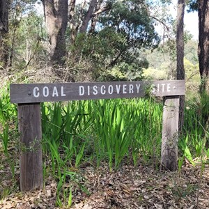 Coal Discovery Site