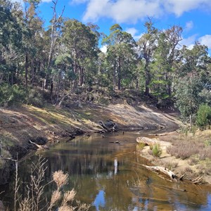 Coal Discovery Site
