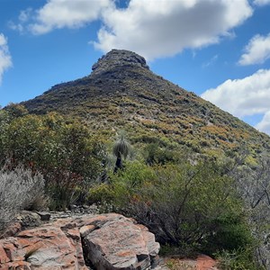 Mount Hassell