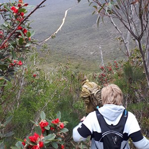 Descent Sept 2018 thick with wildflowers