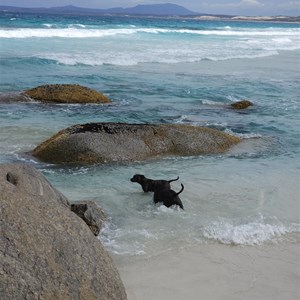 Hassell Beach