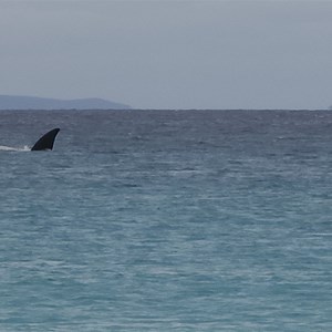Hassell Beach