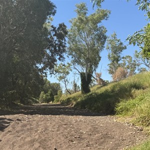 Forrest Creek