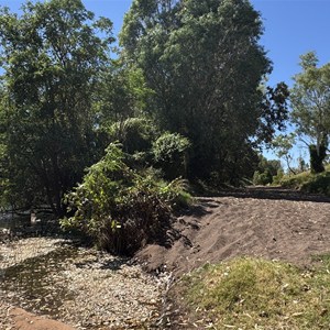 Forrest Creek