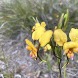 Red Gully Reserve