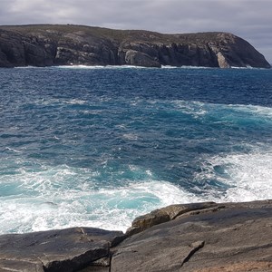 Torbay Head (in background)