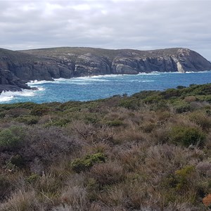 Torbay Head (in background)