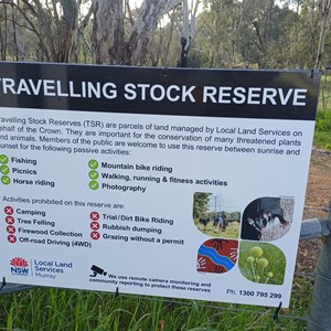 Greogery travelling stock reserve